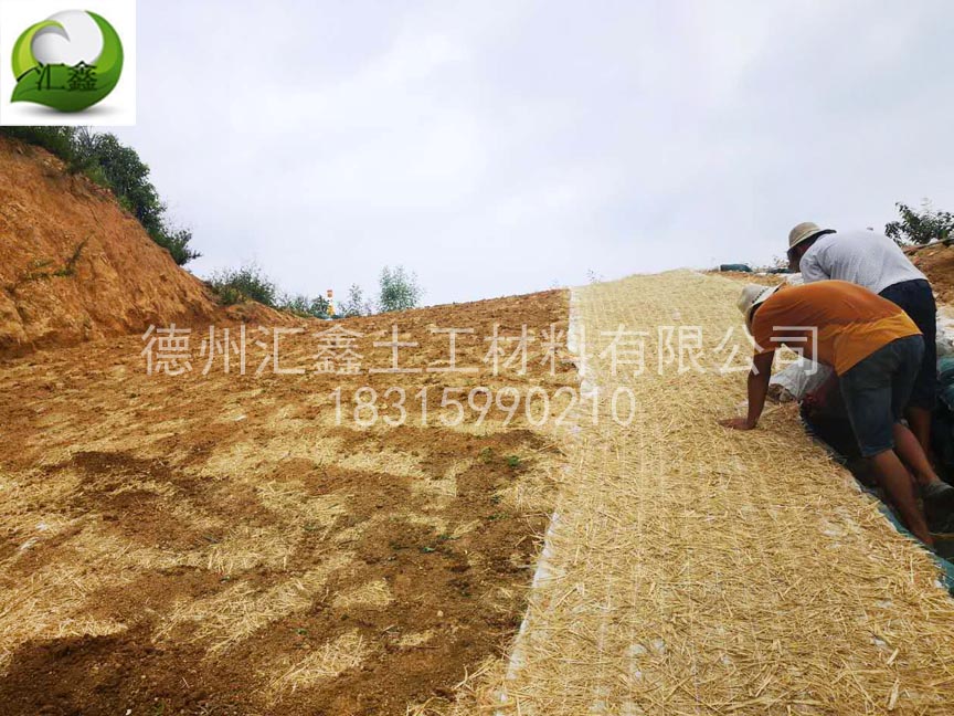 粵東液化項目植生毯水土保持